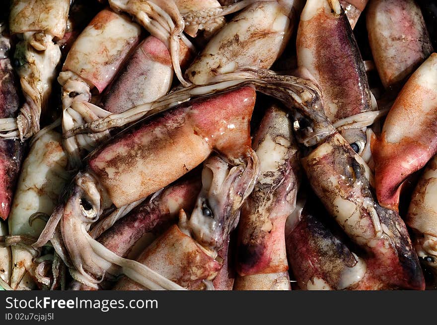 Freshly caught squid in a Philippine market