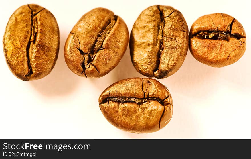 Arranged brown good smelling coffeebeans on white ground. Arranged brown good smelling coffeebeans on white ground