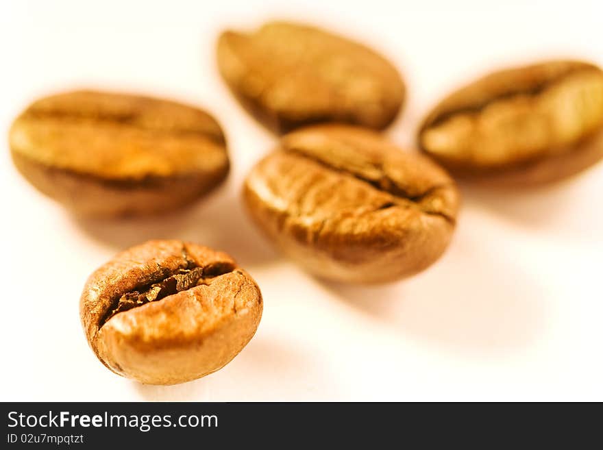 Arranged brown good smelling coffeebeans on white ground. Arranged brown good smelling coffeebeans on white ground