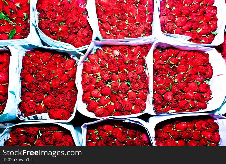 Roses Offered At The Flower Market Early Morning