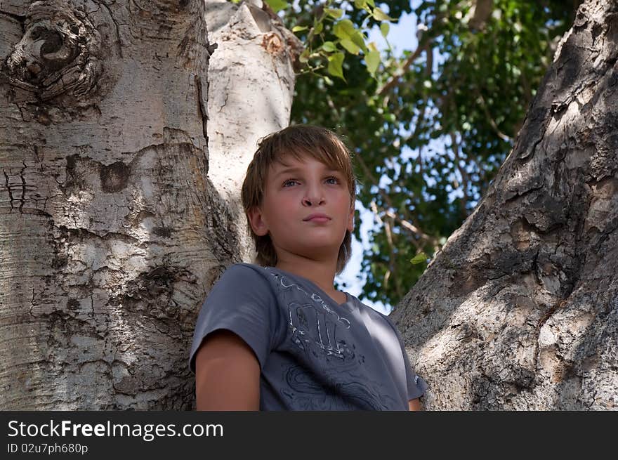 Portrait of a boy on the background of the tree. Portrait of a boy on the background of the tree.