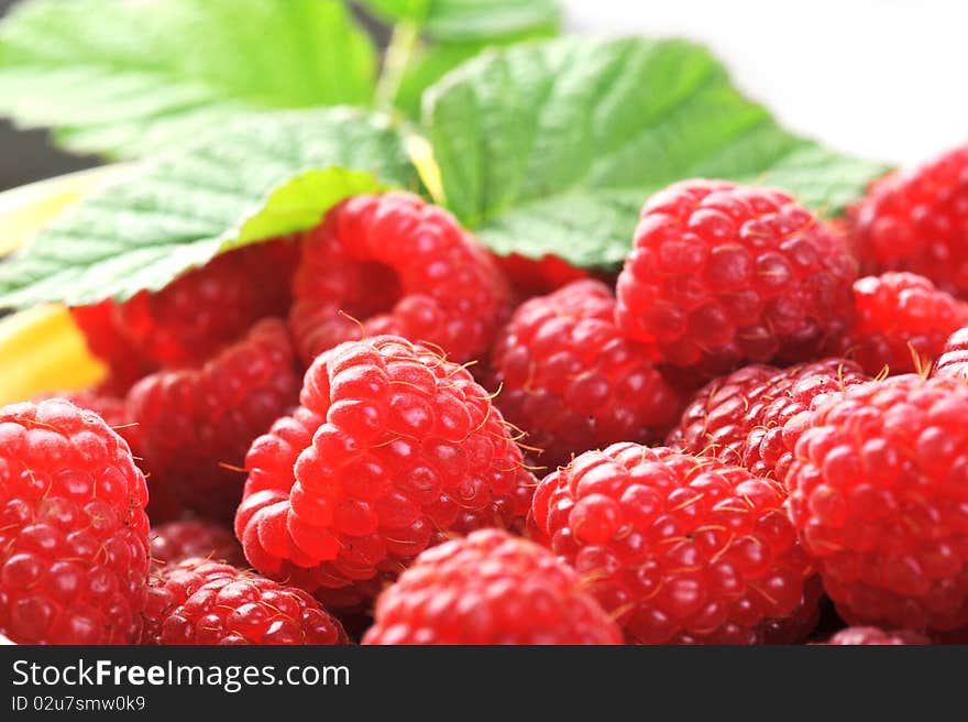 Ripe red raspberries