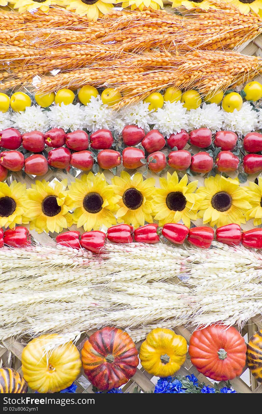 Vegetables and fruit after harvesting are combined by layers. Vegetables and fruit after harvesting are combined by layers