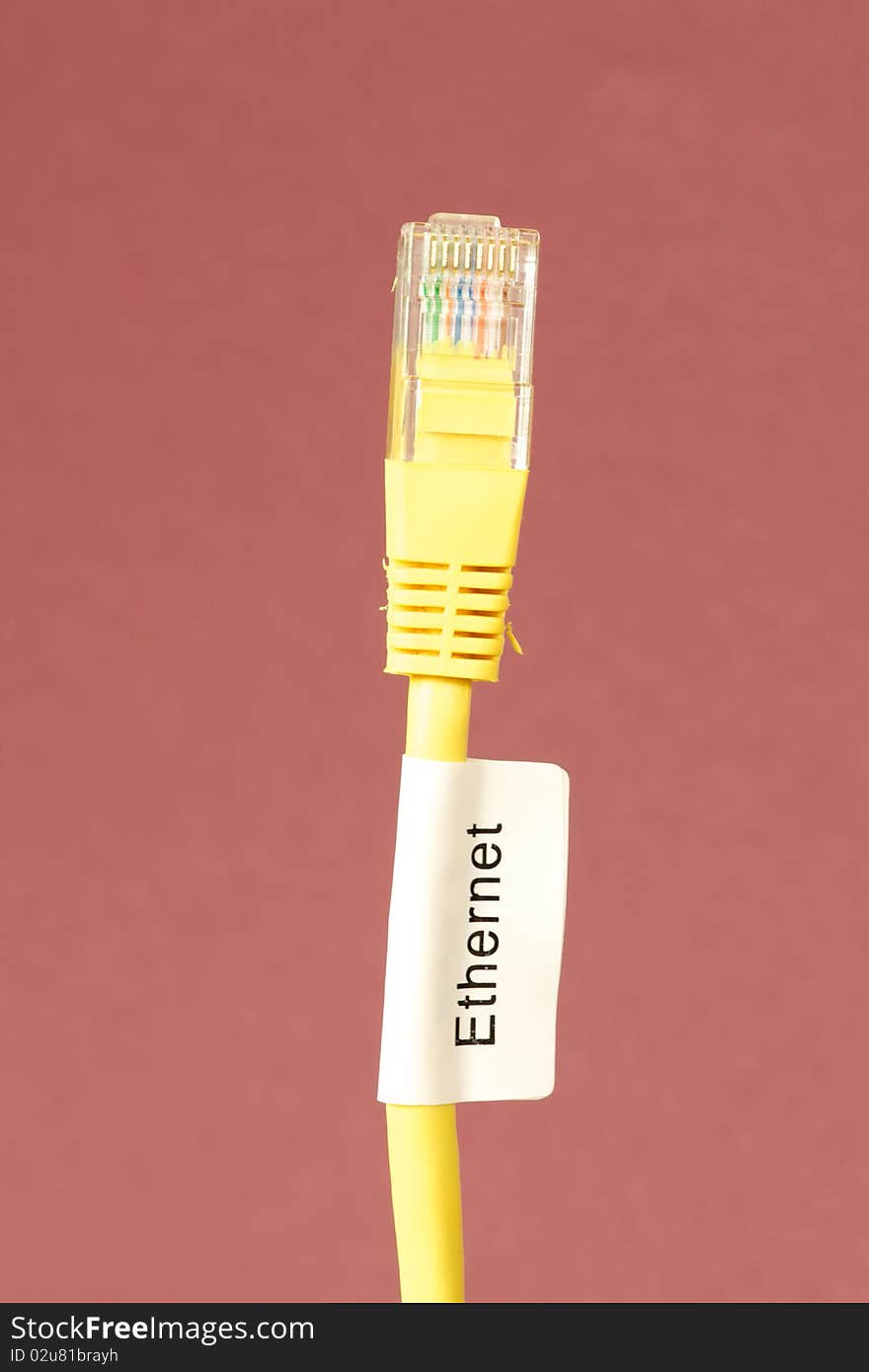 Close Up Of Ethernet Cable