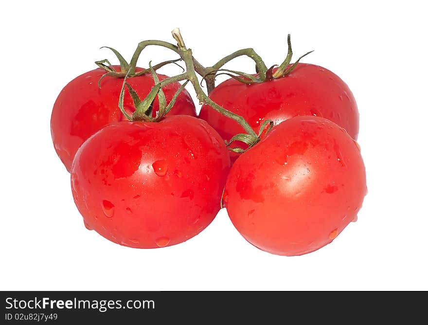 Tomatoes