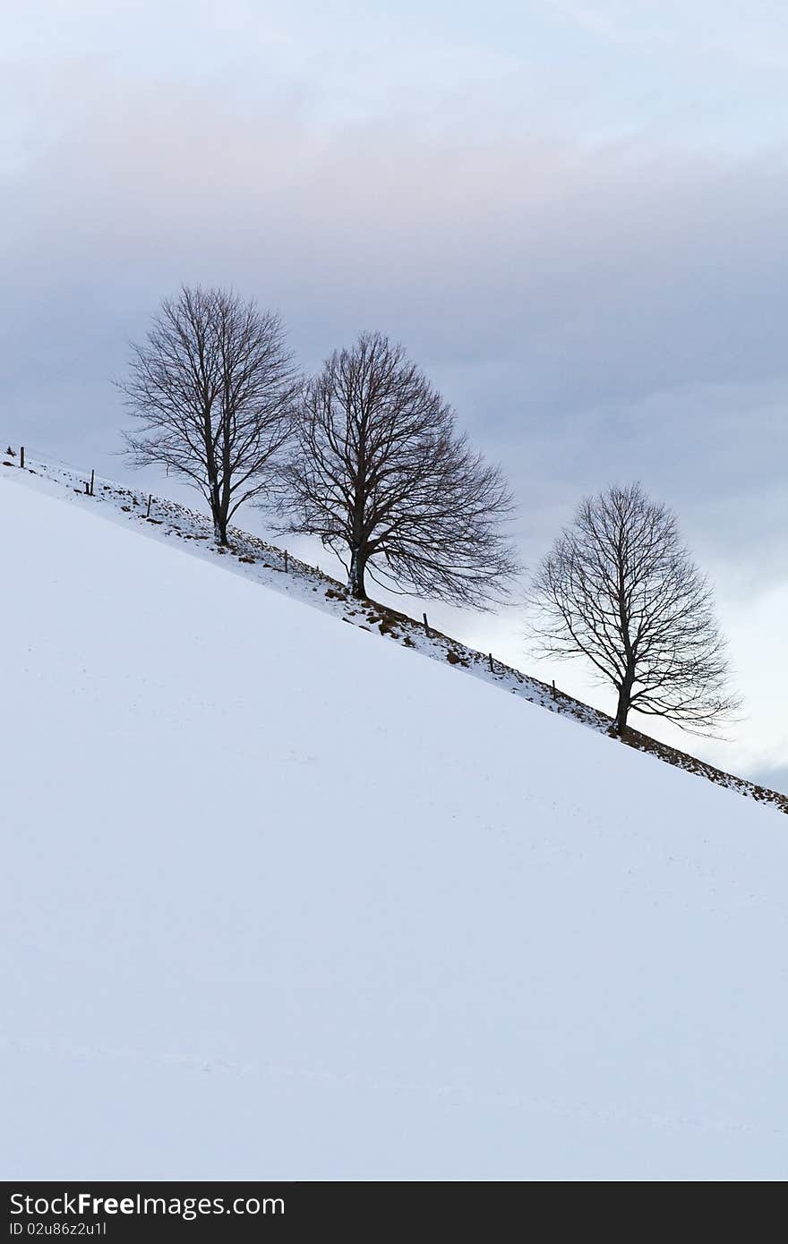 Three trees