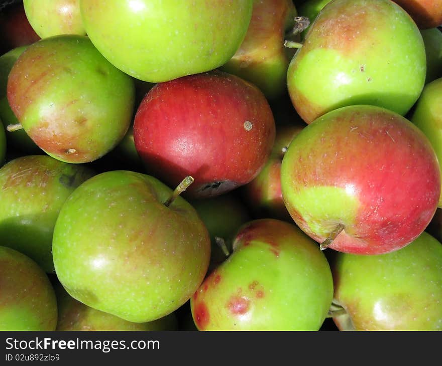 Lots of ripe juicy apples