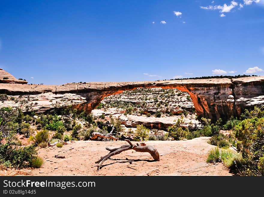 Owachomo bridge at Bridges National Monument