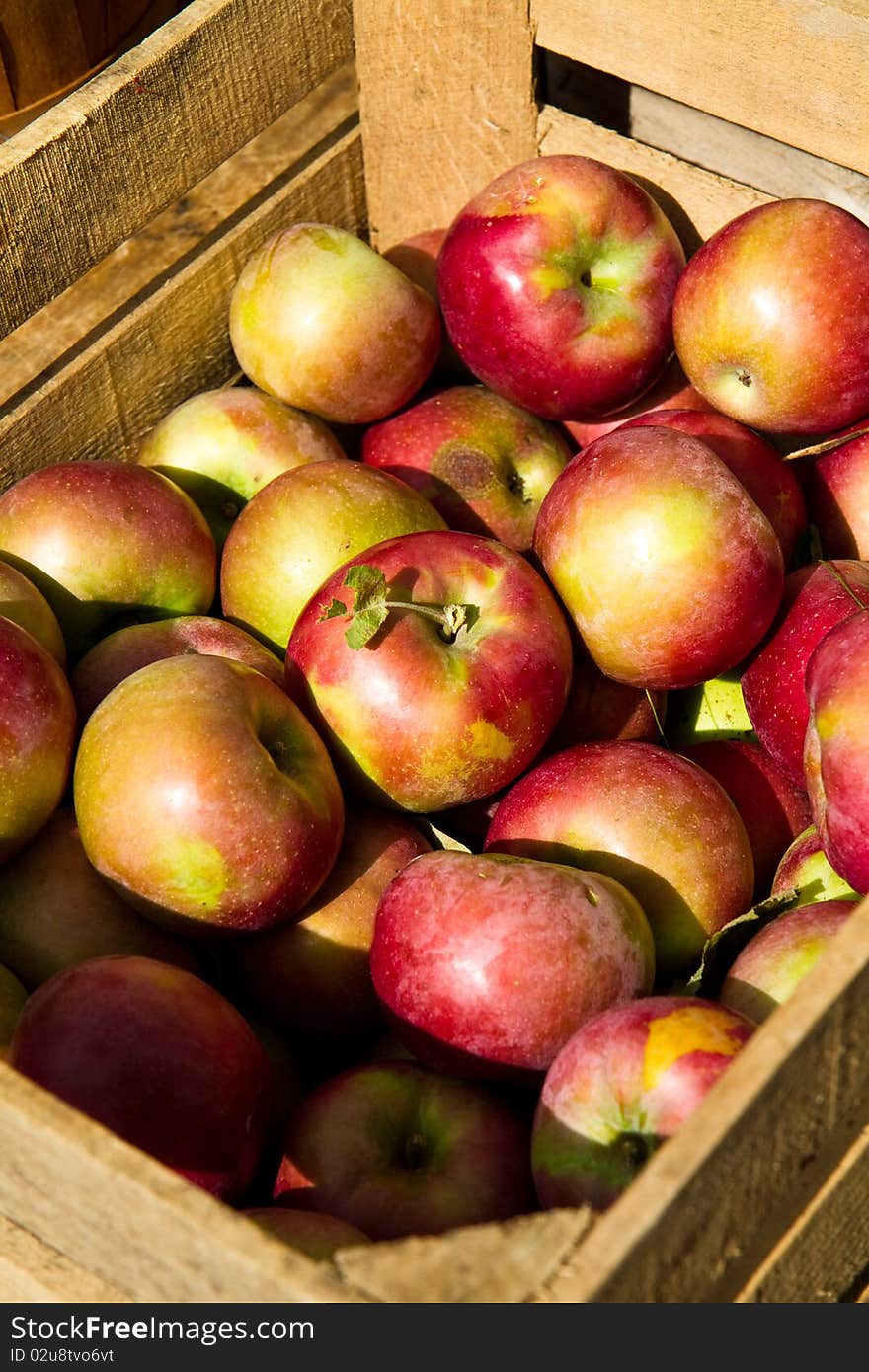 Crate Of Apples Vertical