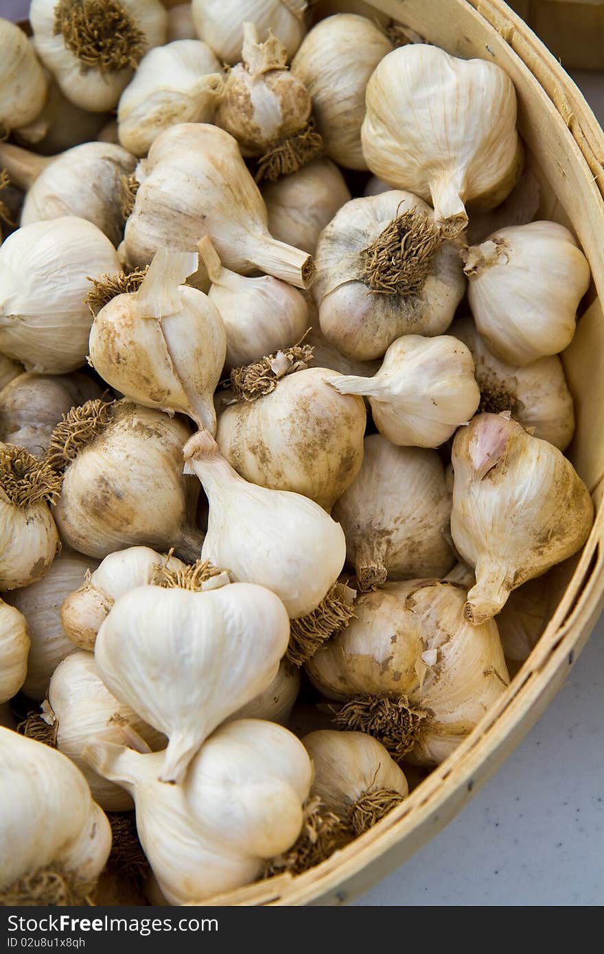 Basket of Garlic Bulbs