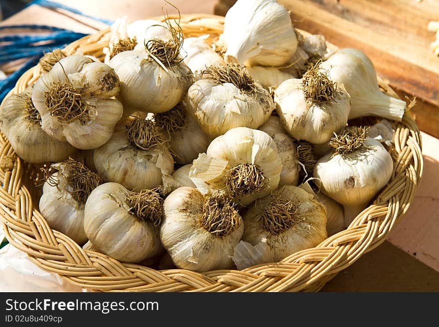 Garlic Bulbs