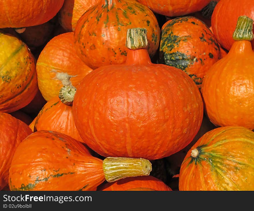 Colorful pumpkins collection on the autumn market