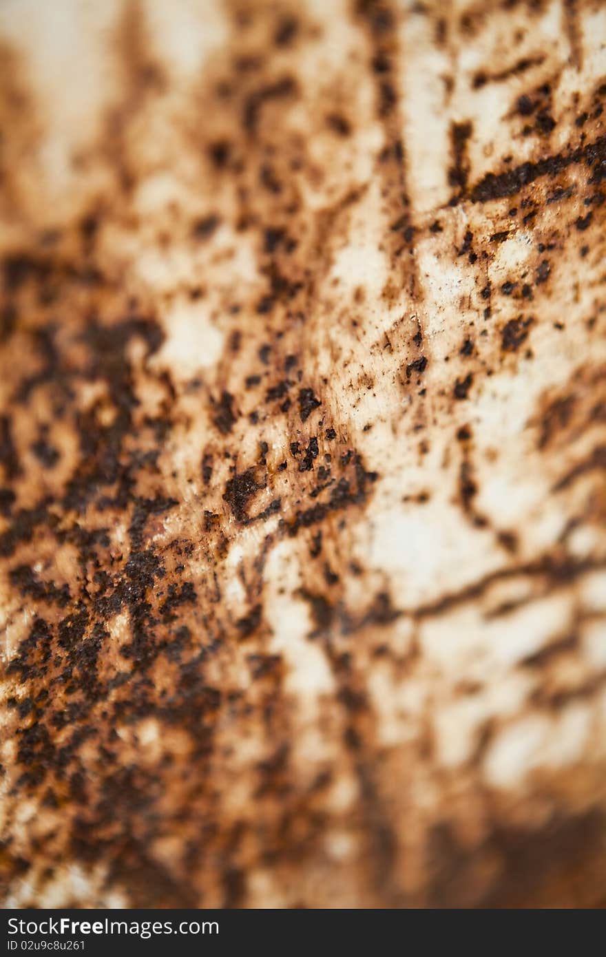 Full Frame of Rusty Material