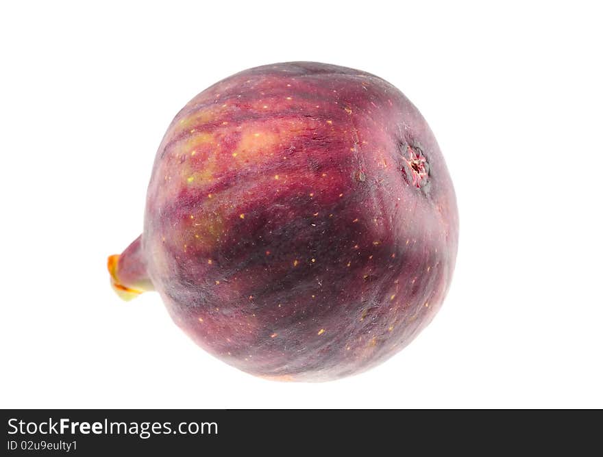 Fresh Fig