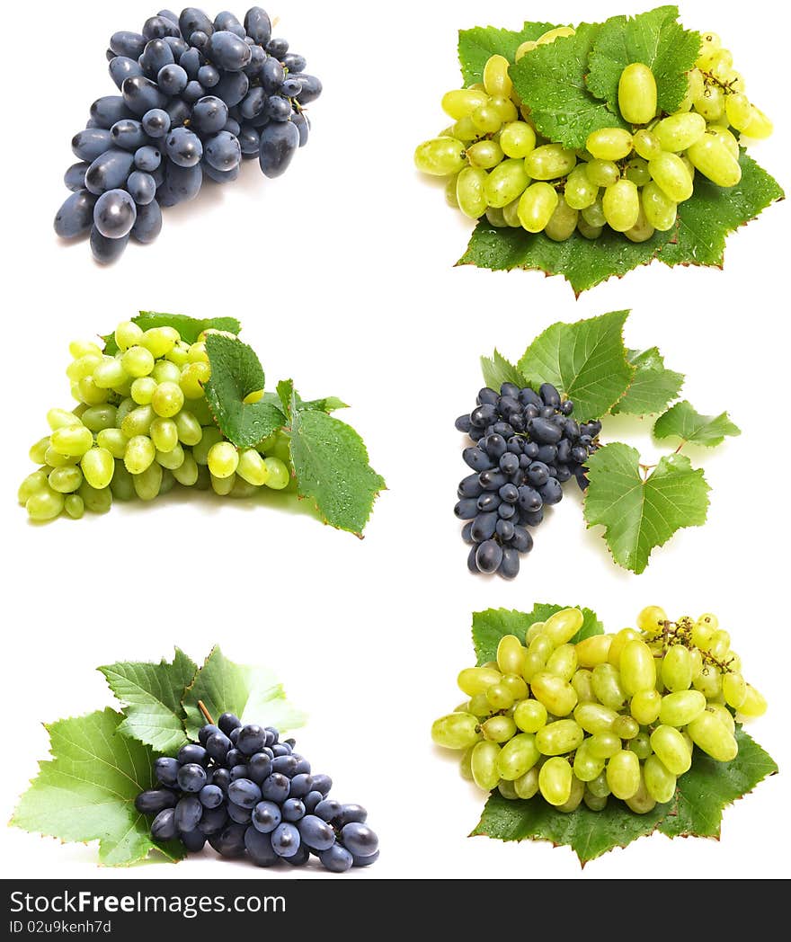 Collection cluster of blue grape isolated on white background. Collection cluster of blue grape isolated on white background