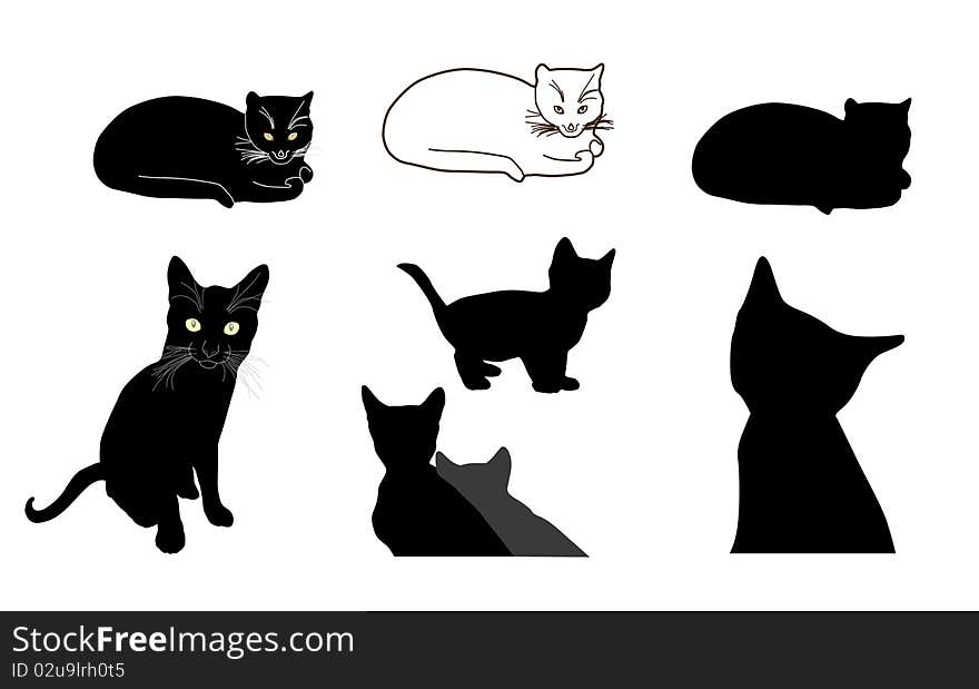 Cat design elements