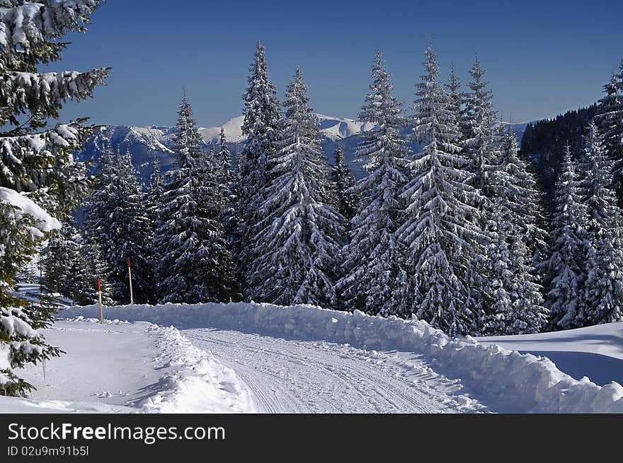 Snowy winter road in the country of Slovakia. Snowy winter road in the country of Slovakia