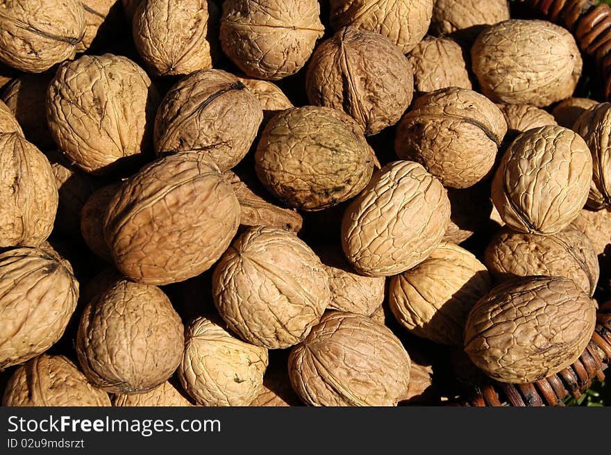 Walnut collected directly from the tree in the garden