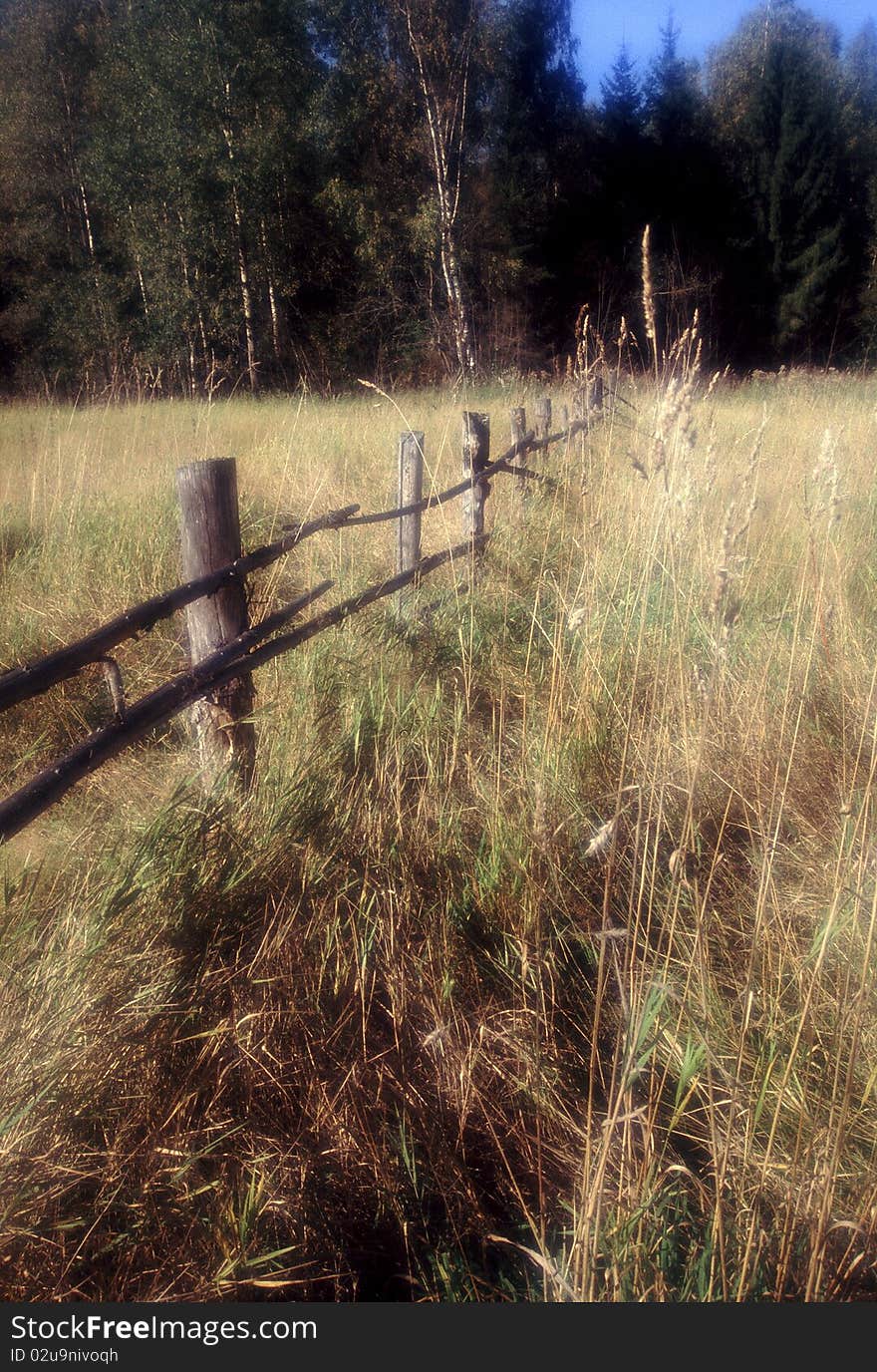 Wild forest and abandoned fence in Russia North. Wild forest and abandoned fence in Russia North