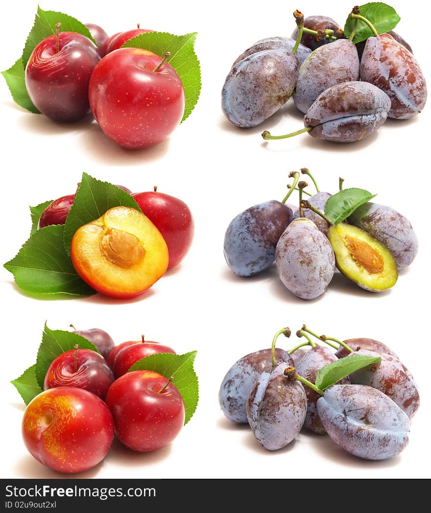 Plums on a white background isolated. Plums on a white background isolated