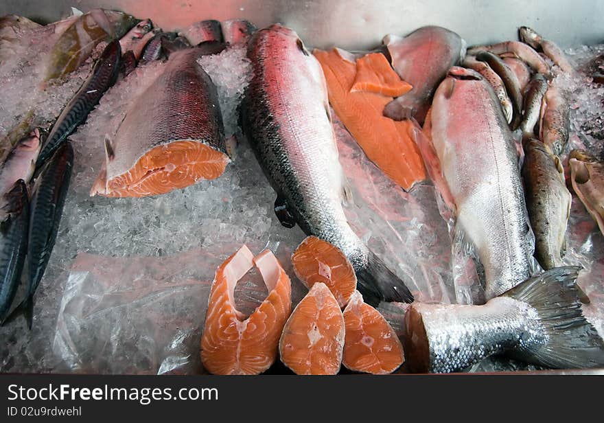 Fresh fish on ice counter