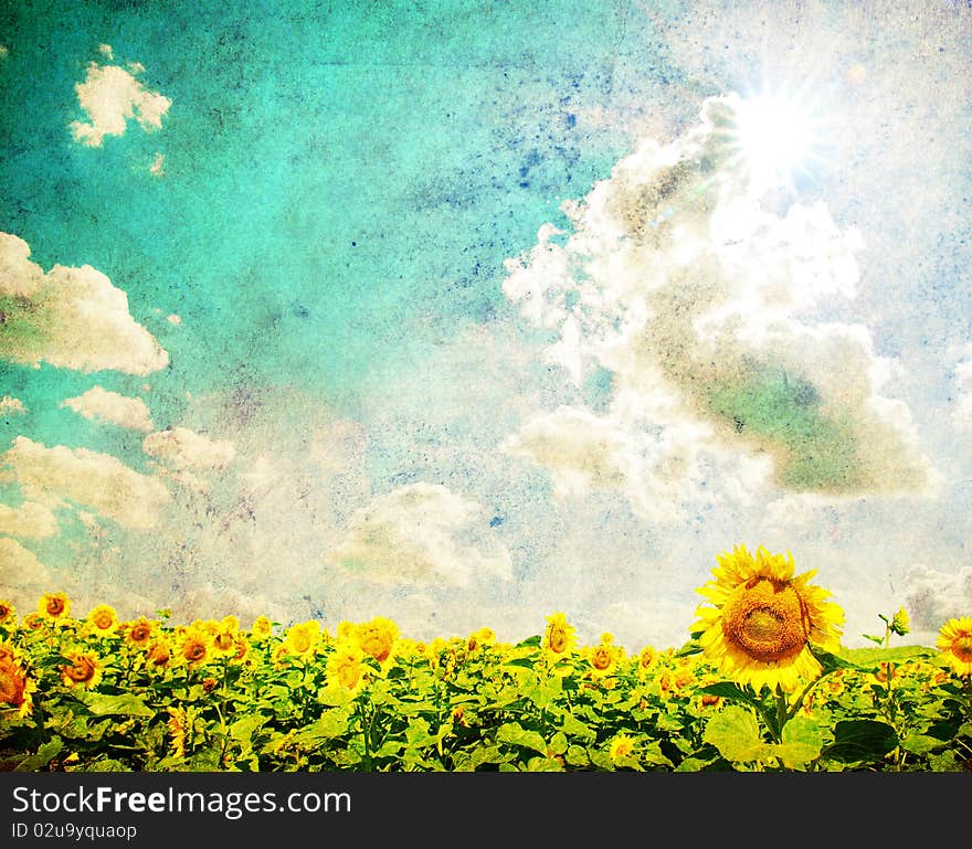 Sunflower field over cloudy blue sky