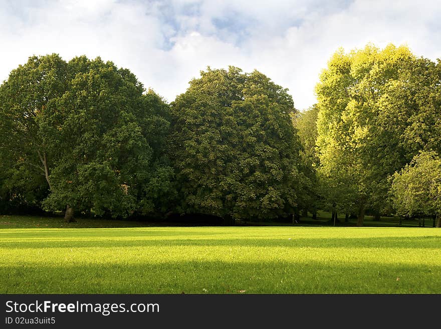 Lush Summer Scene