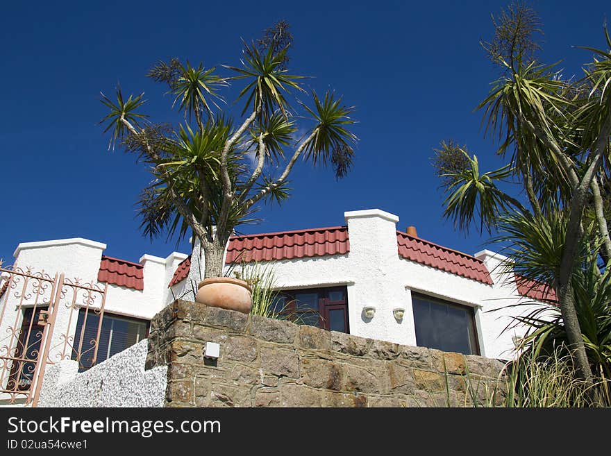 Exotic plants surround seaside home on coast of Jersey. Exotic plants surround seaside home on coast of Jersey