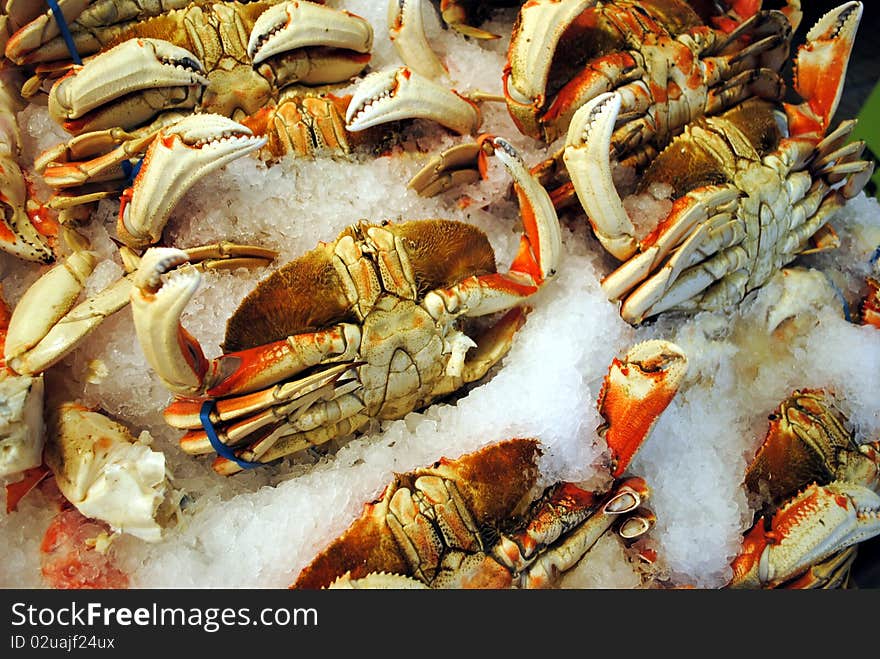 Dungeness Crabs