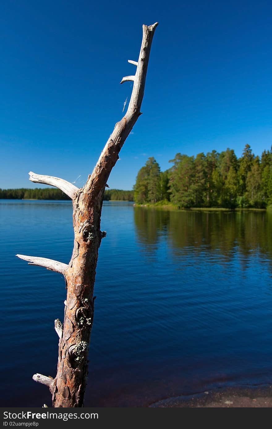 Dead brunch by the lake in Finland