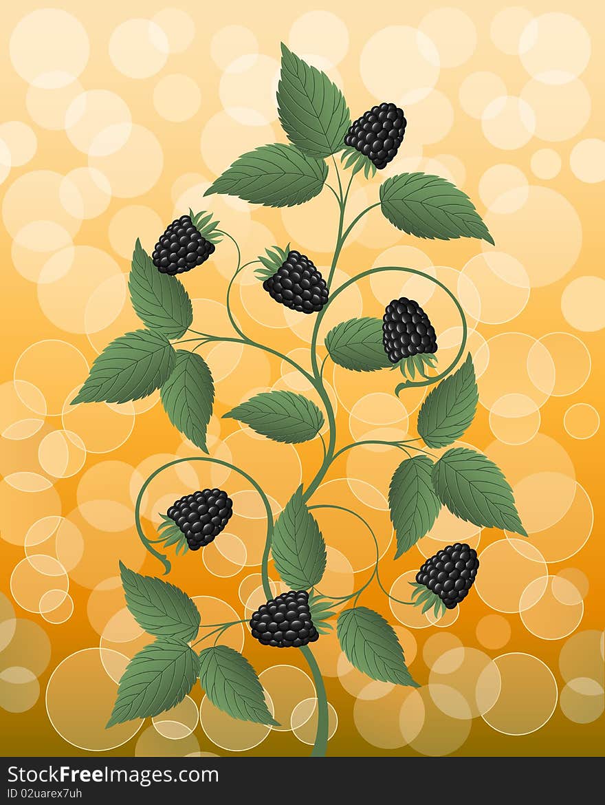 Floral background with a blackberry. Vector illustration.