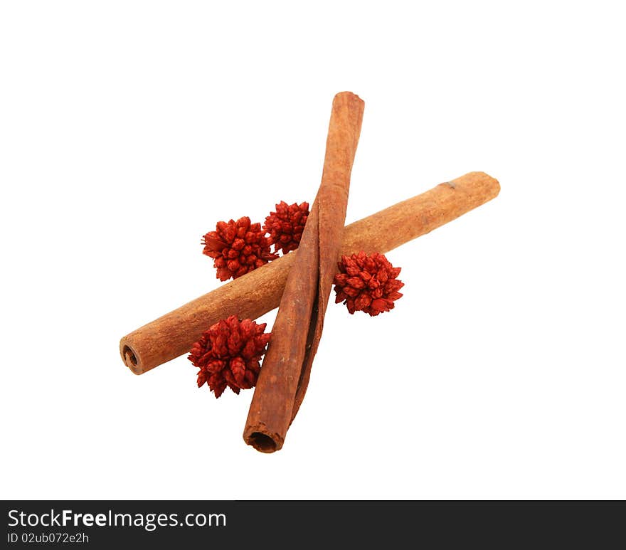 Pair of Cinnamon Sticks