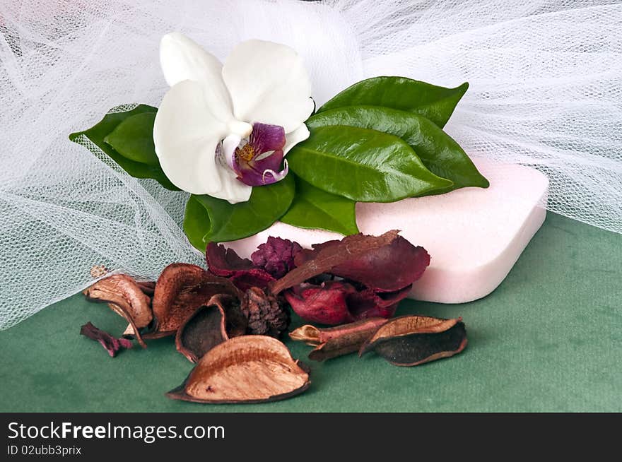 Cleaning products and beauty on a green background. Cleaning products and beauty on a green background