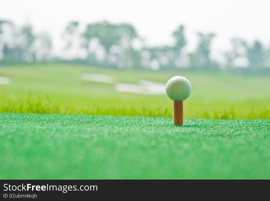 Golf in green grass background. Golf in green grass background.