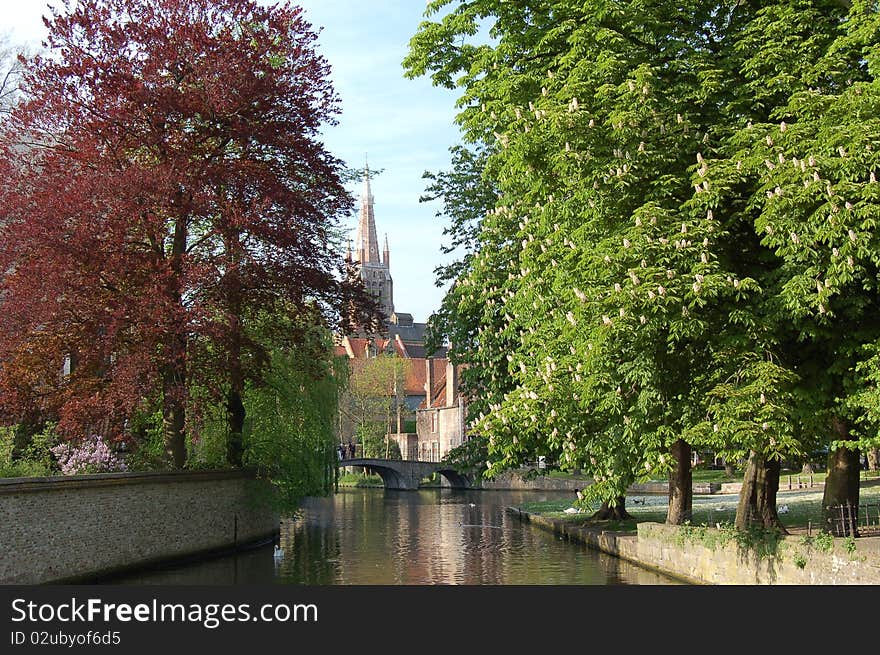 Canal in Bruje with trees and church. Canal in Bruje with trees and church