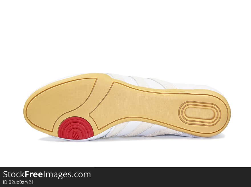 Isolated sole on a white background