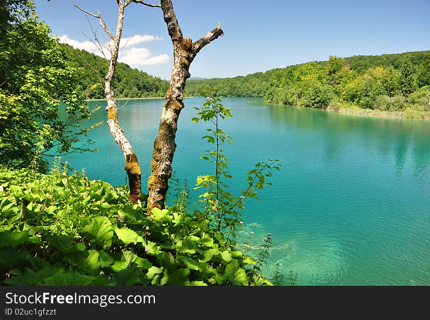 Beautiful Lake In Croatia