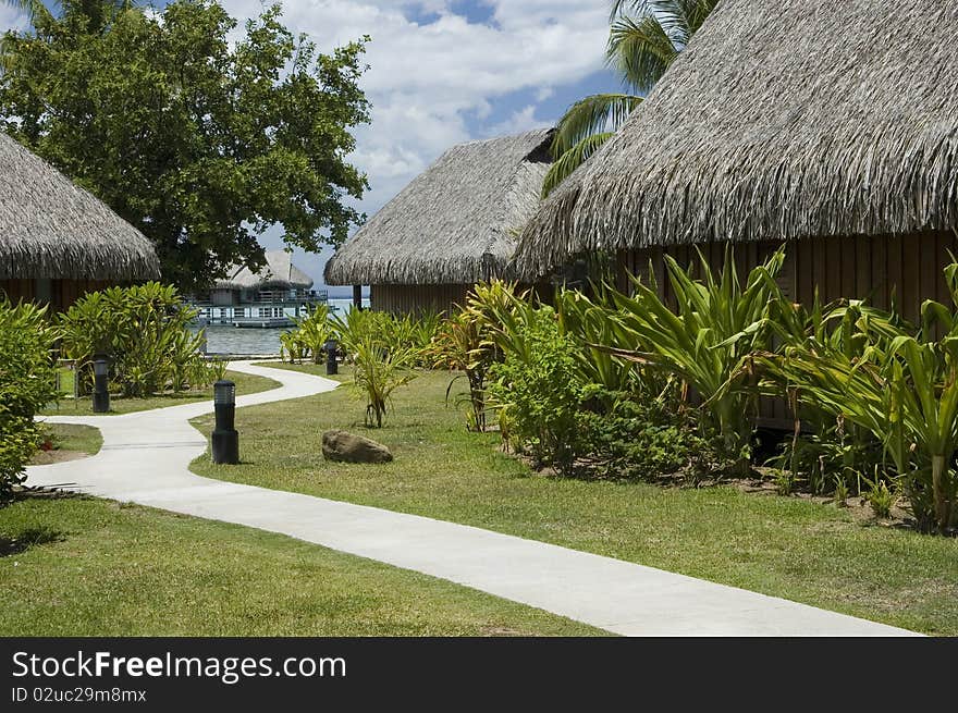 Garden in luxury hotel with bungalows. Garden in luxury hotel with bungalows