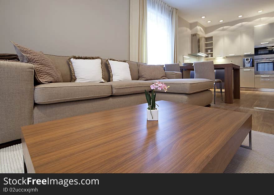 Interior of new designer living room with shared kitchen