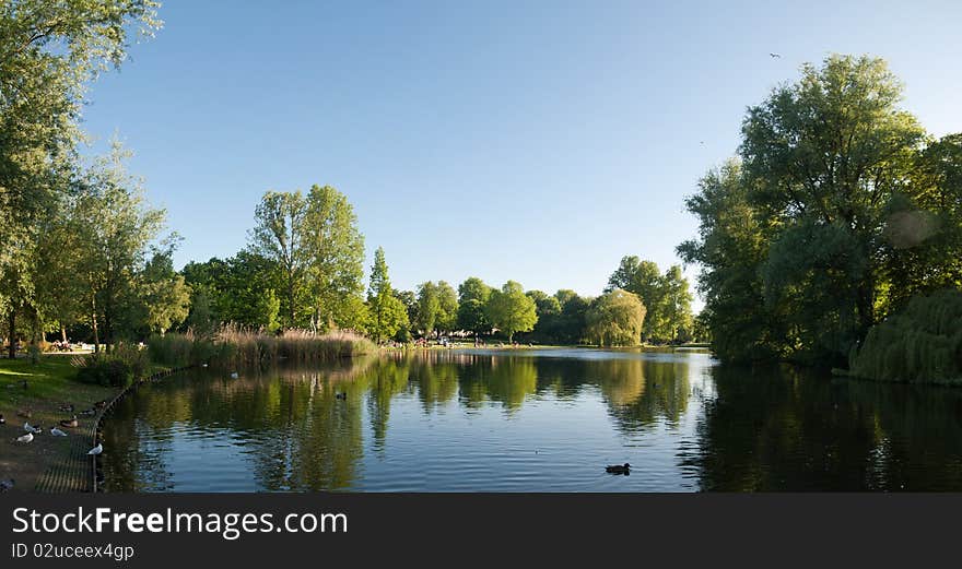 Lake in Oosterpark