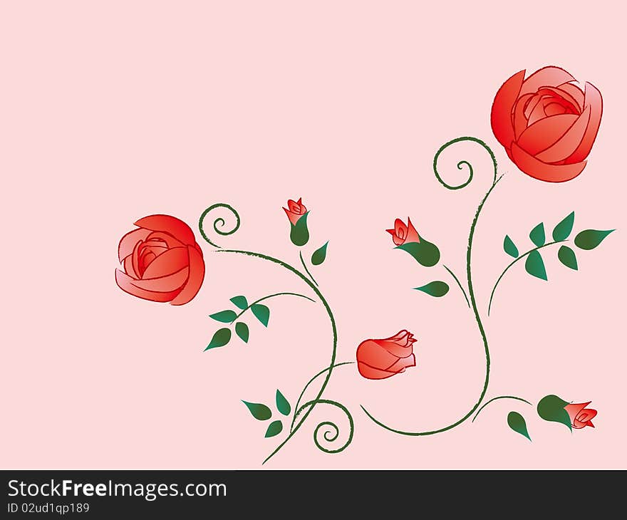 Illustration of  rose pink background