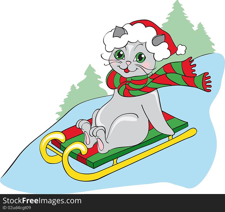 Grey cat on sledge