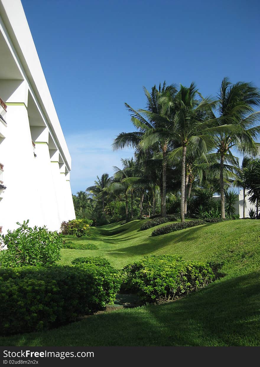 Palm trees and green field with resort building on the side. Palm trees and green field with resort building on the side.