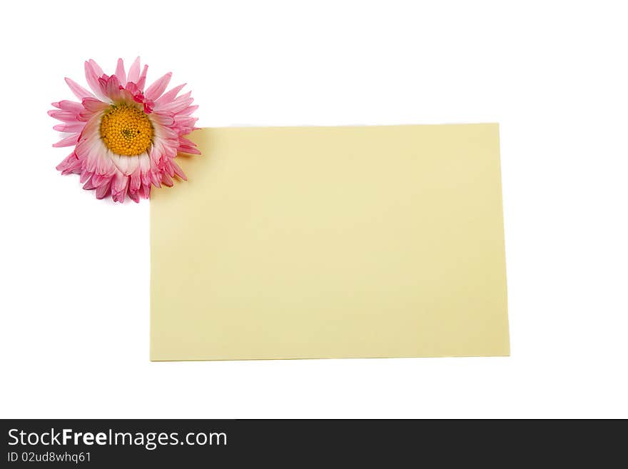 Flower with paper sheet