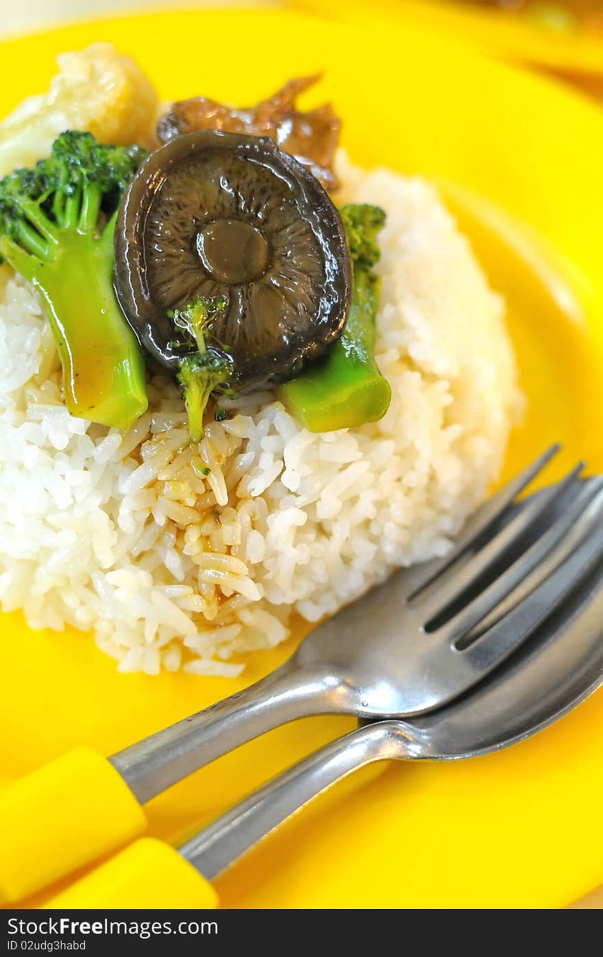 White steamed rice with vegetables and mushroom cooked oriental style. Rice is the stable diet in most Asian countries. For diet and nutrition, healthy eating and lifestyle concepts. White steamed rice with vegetables and mushroom cooked oriental style. Rice is the stable diet in most Asian countries. For diet and nutrition, healthy eating and lifestyle concepts.