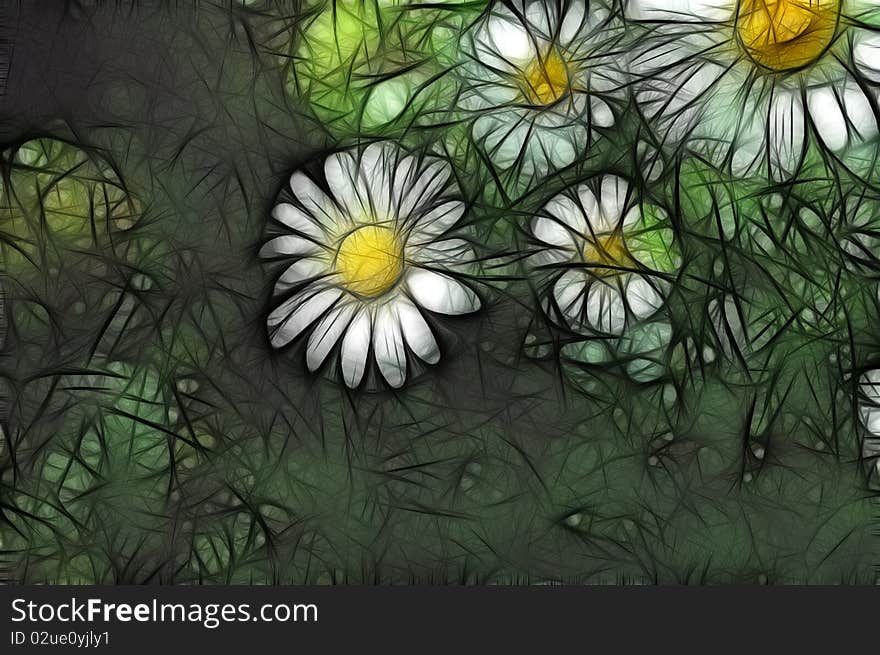 Painted flowers - marguerites in the grass. Painted flowers - marguerites in the grass