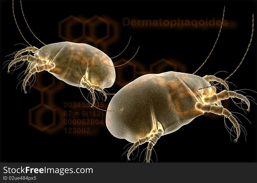 Medicine 3 DS MAX saprophyte- dust tick. Medicine 3 DS MAX saprophyte- dust tick