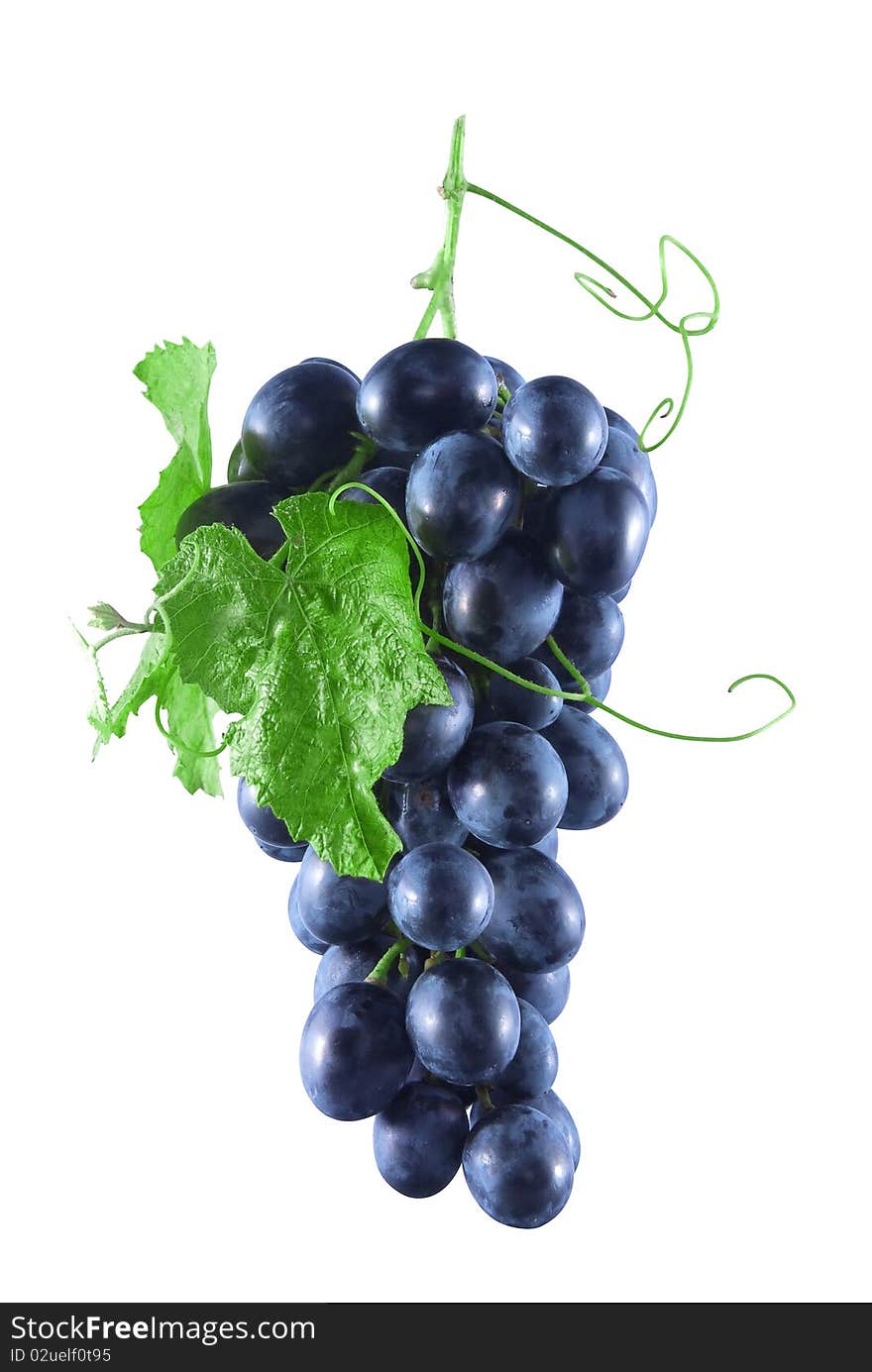 Bunch Of Ripe Grapes With Blue Green Leaves