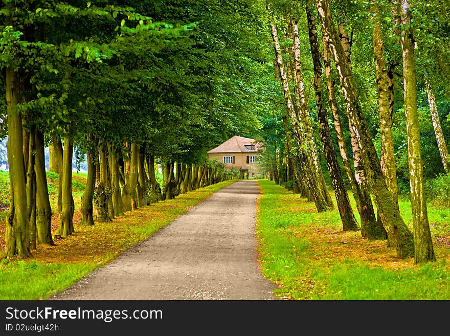 Park in spring time with lots of trees. Park in spring time with lots of trees