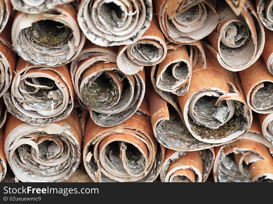 Birch Bark Stack